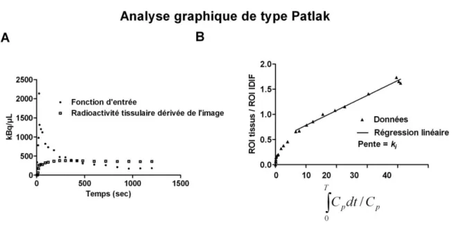 Figure 1.4 - Données brutes (A) et analyse graphique de type Patlak (B). ( Adaptation de (Logan,  2000)).
