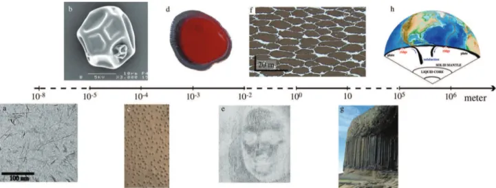 Fig. 1. (a) TEM image of a dried boehmite nanorod suspension [1]. (b) Casein micelles isolate