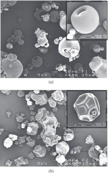 Fig. 8. Particle shapes of dairy proteins material. (a) Whey proteins isolate. (b) Casein micelles isolate.