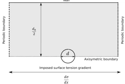 Figure 5.14: Computational setup for the axisymmetric simulation of a bubble subjected to a constant surface tension gradient.