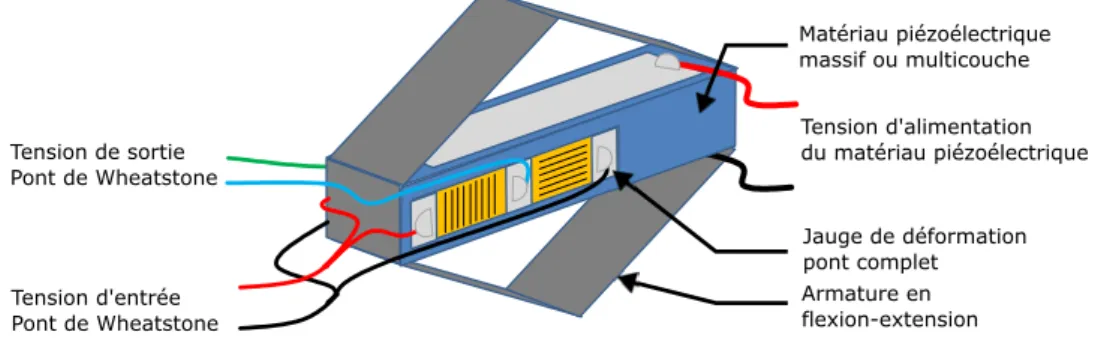 Figure 2.1 – Représentation schématique d’un actionneur flextensionnel muni d’une jauge de déformation