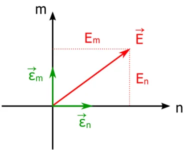 Figure 2.4 – D´ecomposition du vecteur champ ´electrique de dimension 2 sur une base form´ee