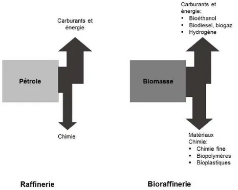 Figure 22. Analogie de fonctionnement entre raffinerie pétrolière et bioraffinerie, selon Kamm et Kamm 2007 82 