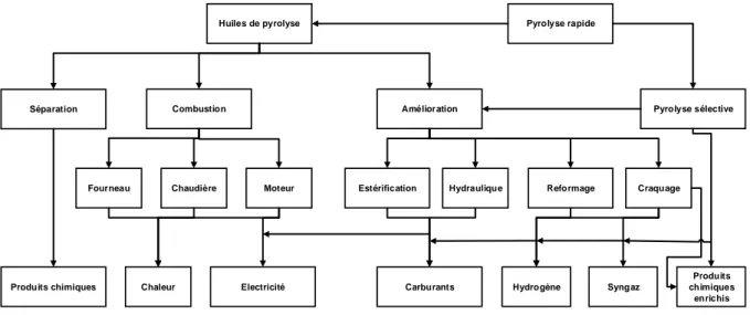Figure 26. Représentation des différentes voies de valorisation possibles de l'huile obtenue par pyrolyse de 