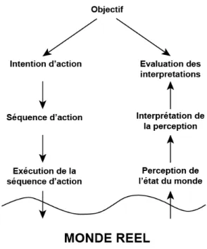 Figure 12. Le cycle de l'action, adapté de Norman. 