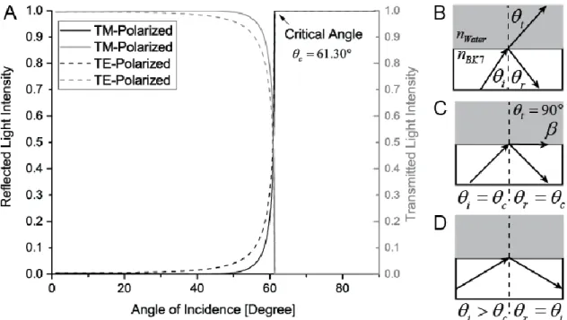 Figure 2.3: Simulated reflected and transmitted light intensity as a function of the angle of  incidence for a glass/water interface (nGlass = 1.524, nWater = 1.336) for a monochromatic  light wave (λ = 470 nm) (A)