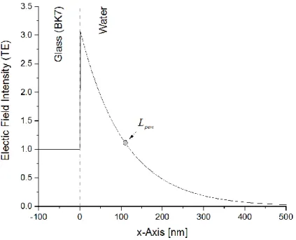 Figure 2.4: Simulated electric field intensity profile for a glass water interface at an angle  of  incidence  of  65°  (nGlass = 1.524,  nWater = 1.336)  for  a  monochromatic  light  wave  (λ = 470 nm)