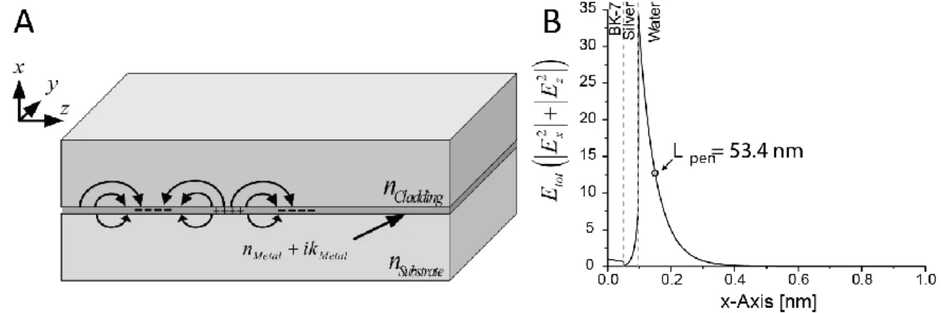 Figure 2.7:  SPs  at  a  metal/dielectric  interface  A.  Surface  plasmons  are  charged  density  oscillation  at  the  metal/dielectric  interface