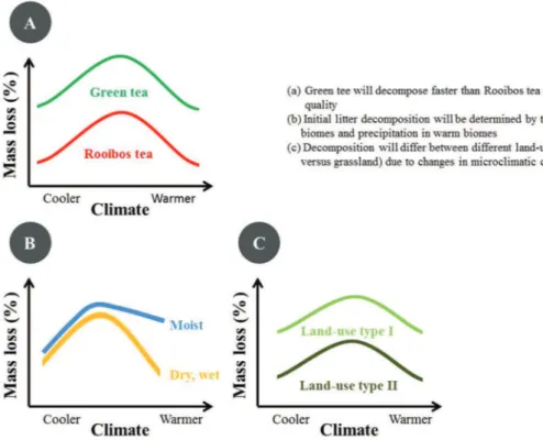 Fig. 1. Conceptual depiction of the main research questions. The temperature dependency across the temperature range (ﬁgure b) is arbitrary.