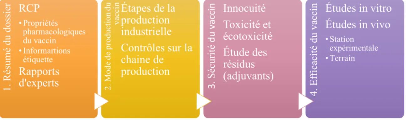 Figure 5 : Les différentes étapes de la composition d'un dossier d'autorisation de mise sur le 