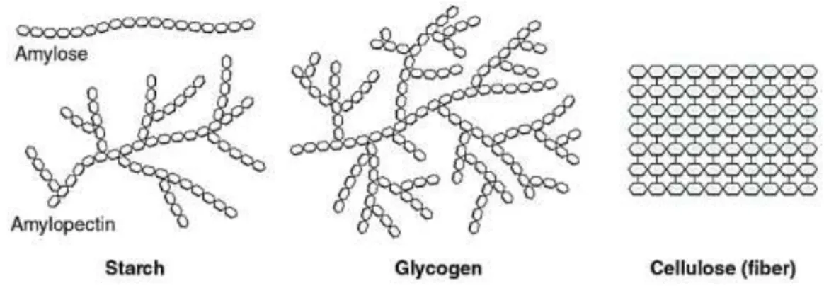 Figure 11- Microalgal saccharides [82]. 