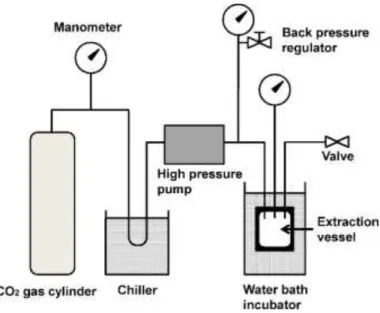 Figure 25- Schematic diagram of the continuous supercritical flow system [162].  1.10