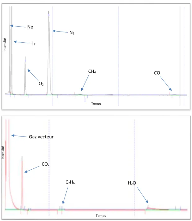 Figure 49: Exemples de chromatogramme obtenu pour l'analyse des gaz de radiolyse du  stéarate de zinc sur le tamis moléculaire (haut) et le PoraPlot Q (bas) 