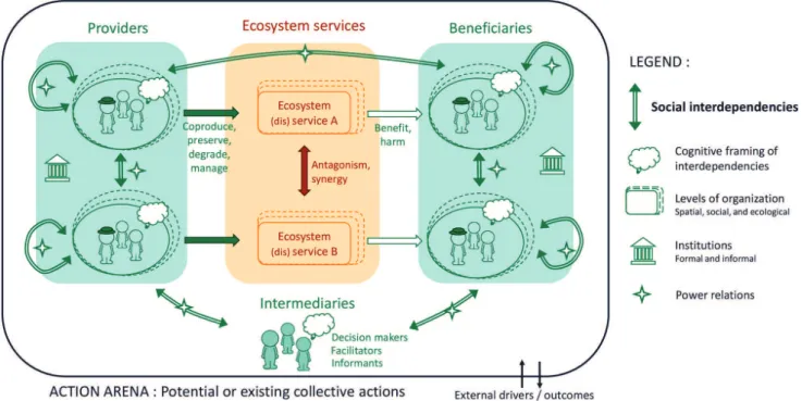 Fig. 1. Framework of  analysis of  social interdependencies underlying ecosystem services dynamics.