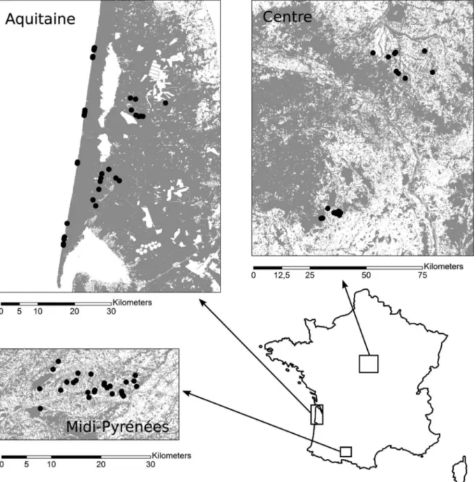 Fig. 1. Location of the three regions (Centre, Aquitaine and Midi-Pyrénées). Enlarged views of each region show the location of sampling sites (black dots) in relation to forest cover (gray) and open habitats (white).