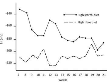 Figure 4.  Changes in ruminal redox potential (E h ) in heifers fed high starch-diet or fed high 