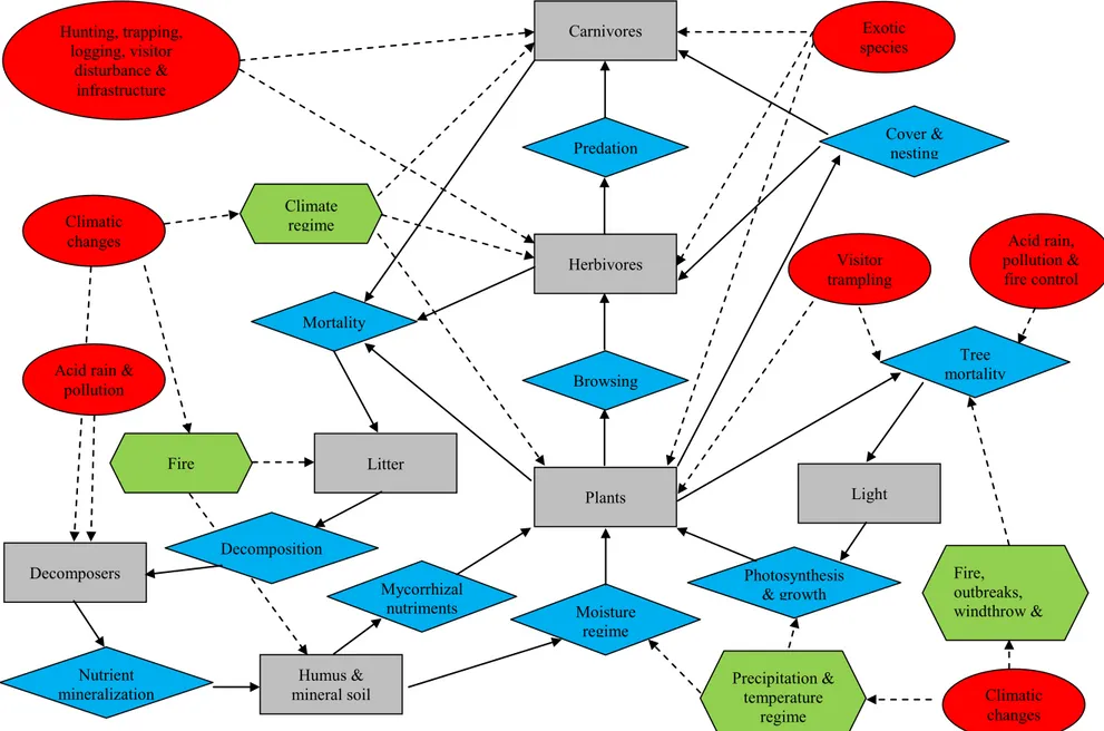 Figure 7 - Modèle conceptuel de référence pour l’écosystème forestier.  D’après Parcs Canada, 2005 b.