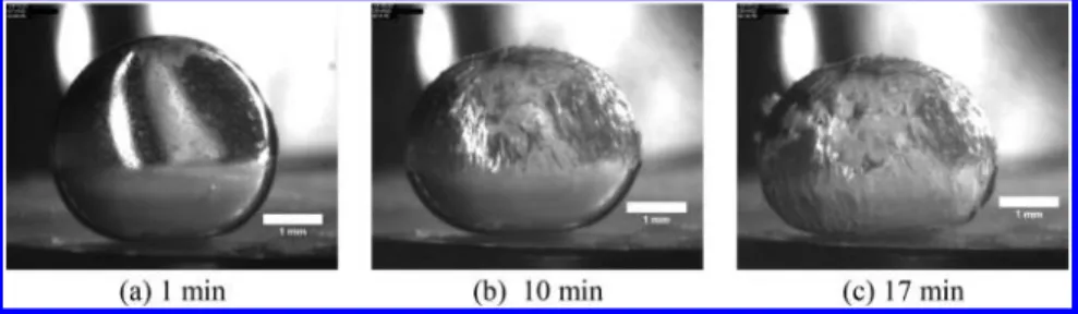 Figure 7. Snapshots of gas hydrate formation with CH 4 /C 3 H 8 on a drop of pure water in n C8 at 66 bar and T = 5.4 °C.