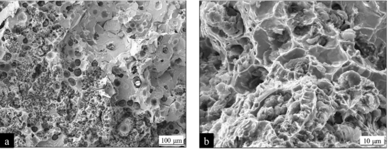 Fig. 11. SEM micrographs of the fracture surface of tensile sample of alloy #23.