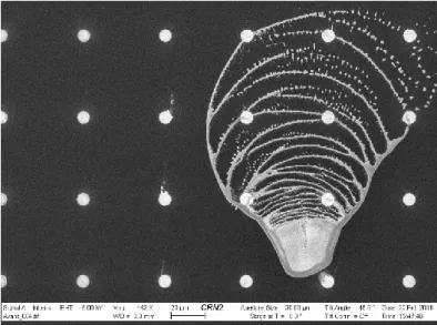 Figure 54 Vue de haut d’un dépôt de particules de silice couvrant des TSV suite au CMP 50 nm 
