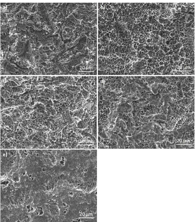 Figure II-19 : Micrographies MEB d'une surface sablée attaquée avec le mélange acide H 2 SO 4 :HCl:H 2 O en proportion 2:2:1 