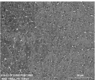 Fig. 12. SEM observations of thin Stellite 6 microstructure obtained by laser cladding.