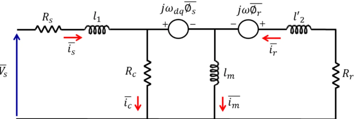 Fig. 1.5. d-q dynamic model representation including core losses through equivalent resistor 