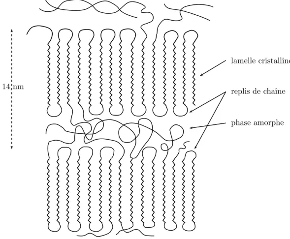 Fig. 1.5 – Sch´ematisation de la structure amorphe/cristalline du POM