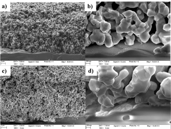 Fig. 3. SEM micrographs of cross-section of La 2 NiO 4þ d thick layer deposited by screen-printing onto YSZ electrolyte and annealed at a, b) 1000  C/2 h and c, d) 1200  C/20 min.