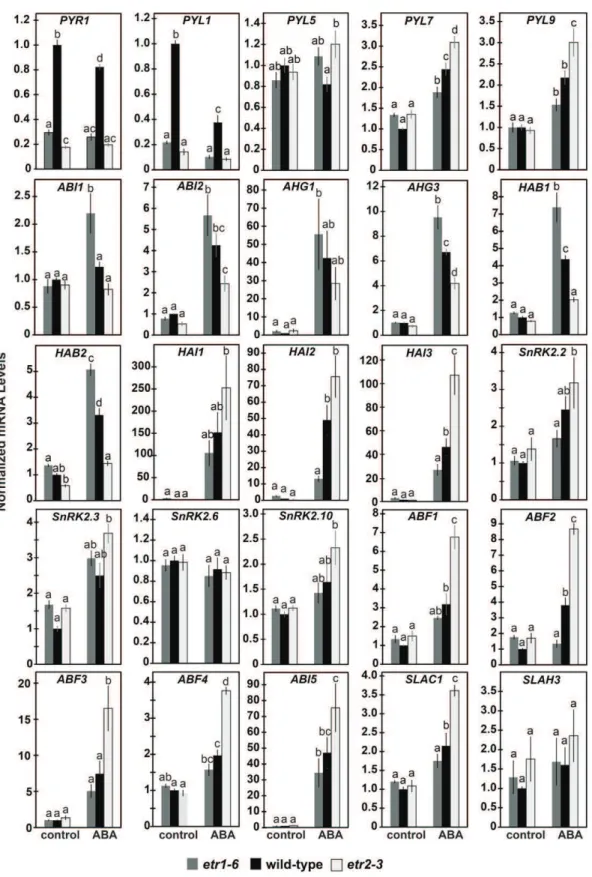 Figure 4. ETR1 and ETR2 oppositely affect the transcript abundance of many genes encoding for ABA signaling proteins