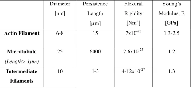 Table 1-1 gives a summary of the basic characteristics of the constituents of the  cytoskeleton