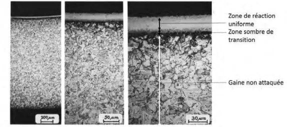 Figure 2.6 – Coupe métallographique d’un acier austénitique après interaction avec le B 4 C en milieu sodium à 600 °C durant 8640 h [ 47 ].