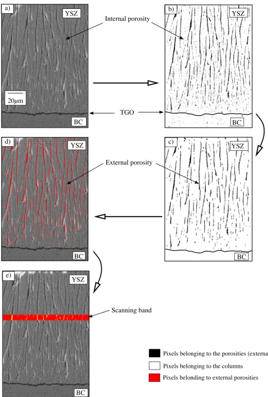 Figure II.2 : (a) Initial SEM micrograph of the EB-PVD TBC cross section, (b) binary picture with external and internal porosities, (c) binary picture showing only the extracted external porosity, (d) external porosity reported in the initial SEM micrograp