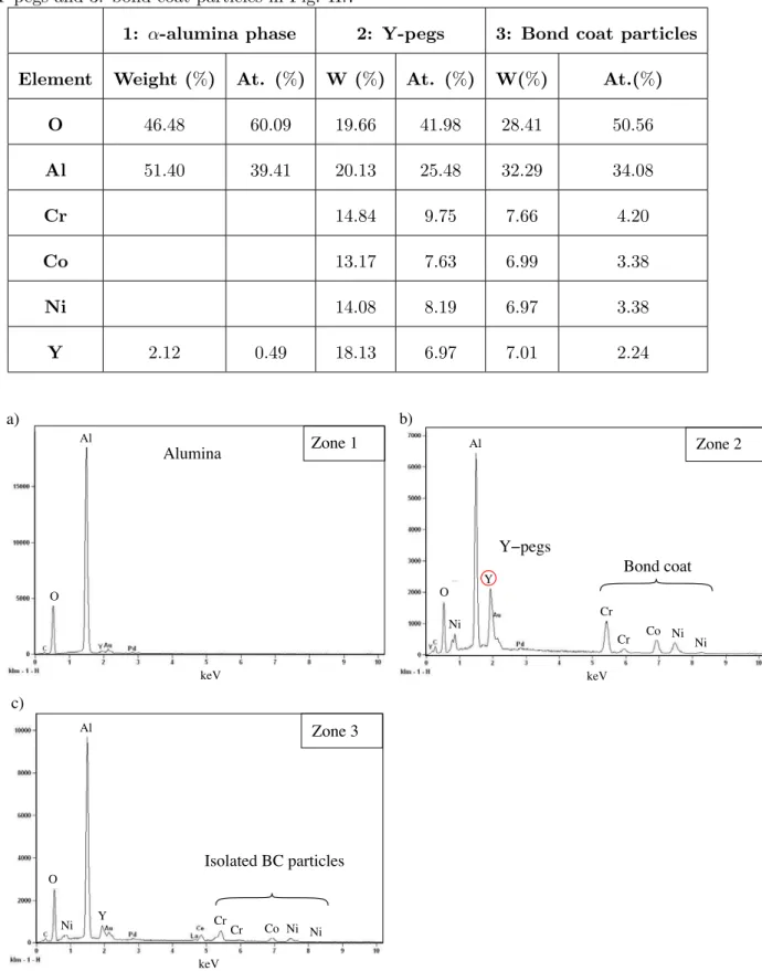 Table II.1 : Quantitative results of the chemical composition for 1: α-alumina phase, 2: Y-pegs and 3: bond coat particles in Fig