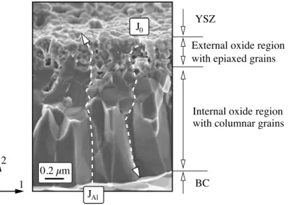 Figure II.9 : Transmission electron micrograph (TEM) showing the inner columnar alumina layer and the outer layer with little epiaxed grains (Clarke, 2003)
