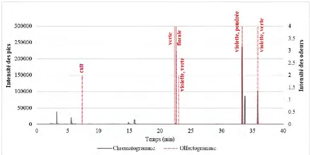Figure 28. Superposition du chromatogramme GC et de l’olfactogramme pour la violette de Toulouse 