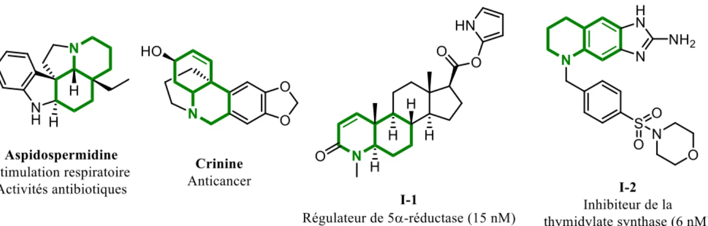 Figure I.3 Différentes polyhydroquinoléines et leurs activités biologiques. 