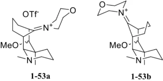 Figure 1.5 Représentation 3D des diastéréoisomères possibles de l’ion iminium 1-53. 