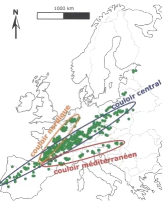 Figure 9 : Axes de migration en Europe du pigeon ramier déterminés à l’aide de  balises Argos (Groupe d’Investigation sur la Faune Sauvage 2016) 