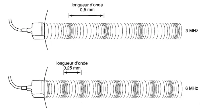 Figure 3 : Représentation de la relation entre la fréquence acoustique et la longueur d'onde, d'après (Palmer  1996) 
