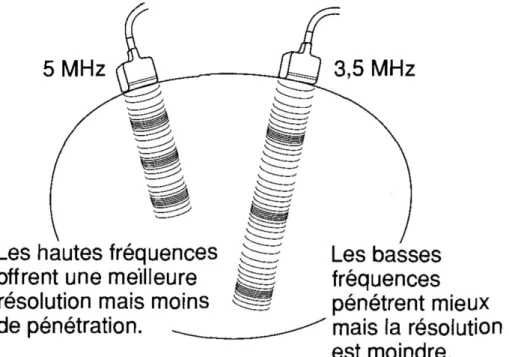 Figure 17 : Représentation de la relation en fréquence acoustique et profondeur de champ, d'après (Palmer 1996) 