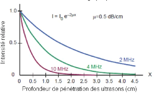 Figure 23 : Atténuation de l’intensité de différents ultrasons en fonction de la profondeur pour un milieu donnée,,  d'après (Bushberg, Boone 2011) 