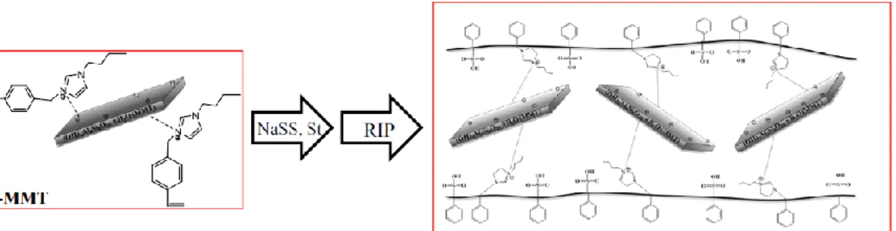 Fig.  1.15.  Schematic  illustration  of  vinyl  group  functionalized  polymer/Na + -MMT/[BVBI][Cl]  composite 