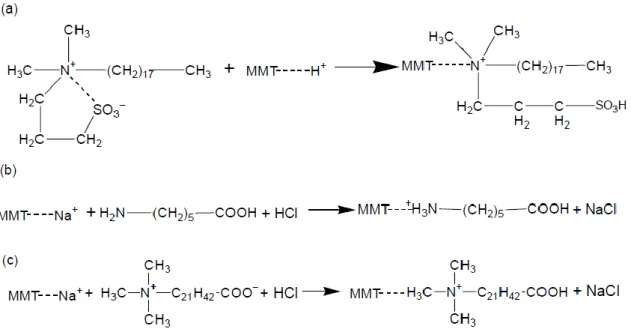 Fig. 1.18. Schematic representation of the ammonium cations synthesized with the cation exchange with MMT: 