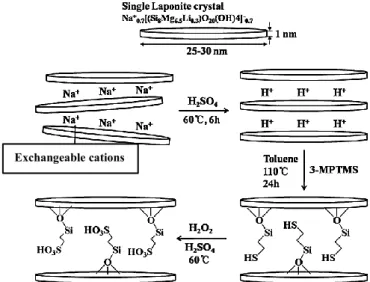 Fig.  1.39.  Laponite  sulfonated  using  H 2 SO 4   and  H 2 O 2   through  exchangeable  cations  [90]