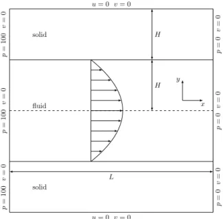 Figure 2.29  Schéma d'un écoulement de Poiseuille avec la méthode d'immersion de do- do-maines.