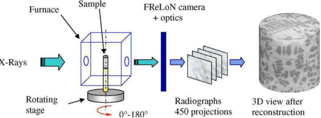 Figure 2.1. Principe de la microtomographie aux rayons X d’après Limodin et al. [Lim 09]  Salvo  et  al