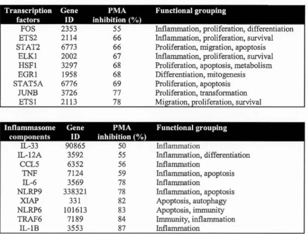 Table 3.1:  Suppressive transcriptiona l  role of MTl-MMP silencing  in  PMA-treated  cells