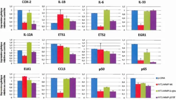 Figur e  4 . 1.  Niv e au x  d ' expression  génique  de s  biomarqueurs  inflammatoires  et  de  facteur s  de  tran s cription  suite  à  la  surexpression  de  2  formes  recombinantes  de   MTl-MMP