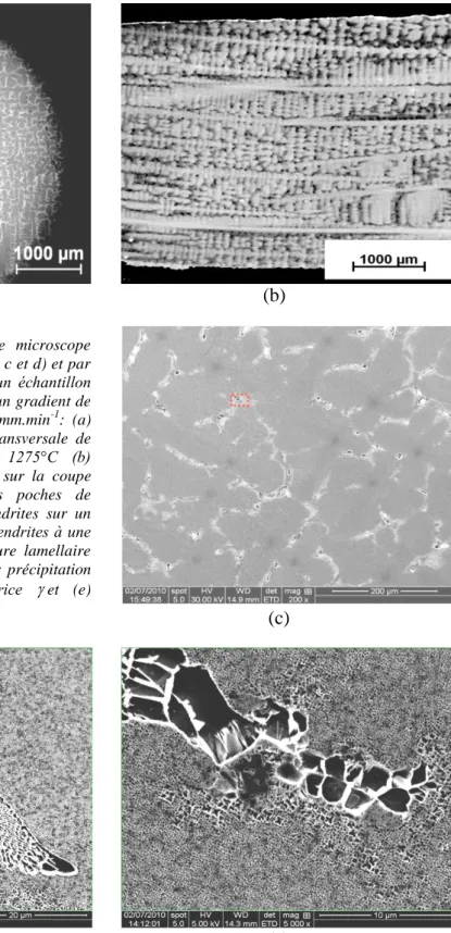 Figure  1-2:  Images  prise  par  le  microscope  électronique à balayage (images a, c et d) et par  microscopie  optique  (image  b)  d’un  échantillon  cylindrique en AM1 solidifié sous un gradient de 